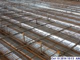 Staggered wire Mesh at the 3rd Floor. (7) (800x600).jpg
